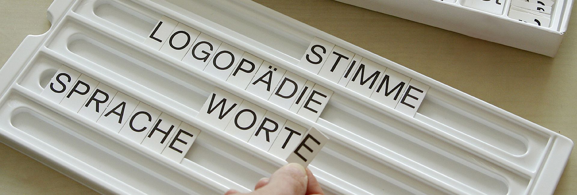 Logopraxis Wardenburg, Logopädie, Regine Mayer, Wissenswertes