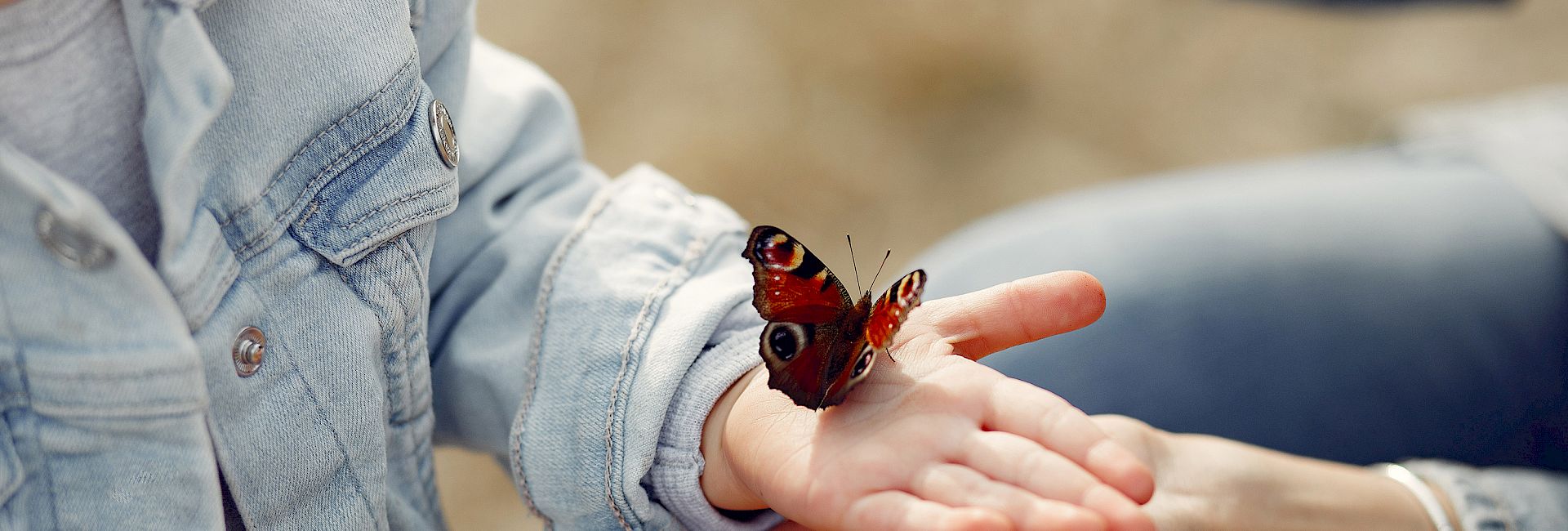 Logopraxis Wardenburg, Logopädie, Regine Mayer, Kontakt