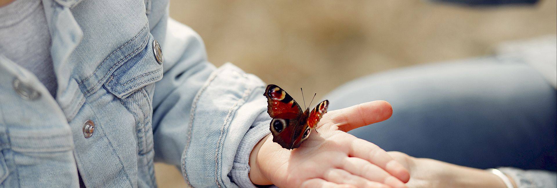 Logopraxis Wardenburg, Logopädie, Regine Mayer, Datenschutz